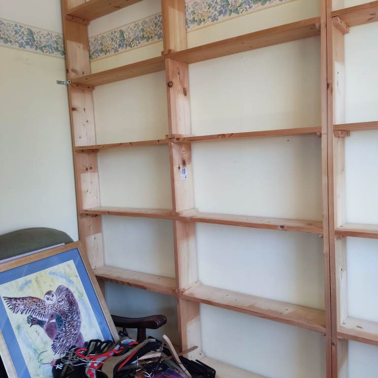 Book shelves 