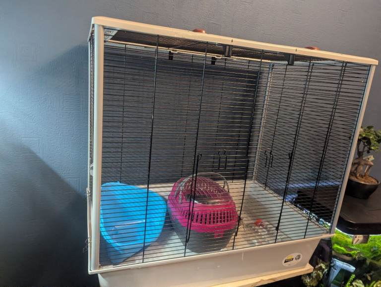 Ferplast rat cage & accessories 