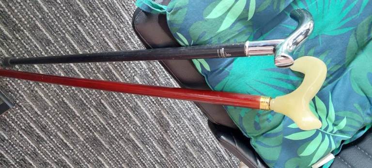 Collector's Walking Sticks 