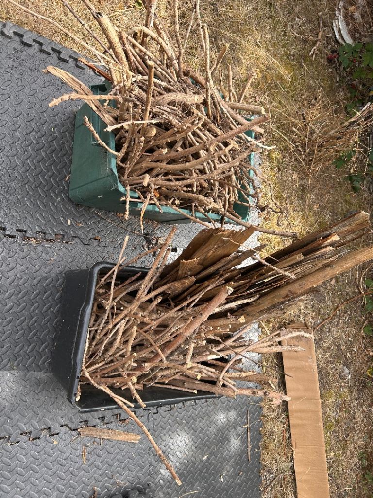 Two boxes of dry sticks/kindling