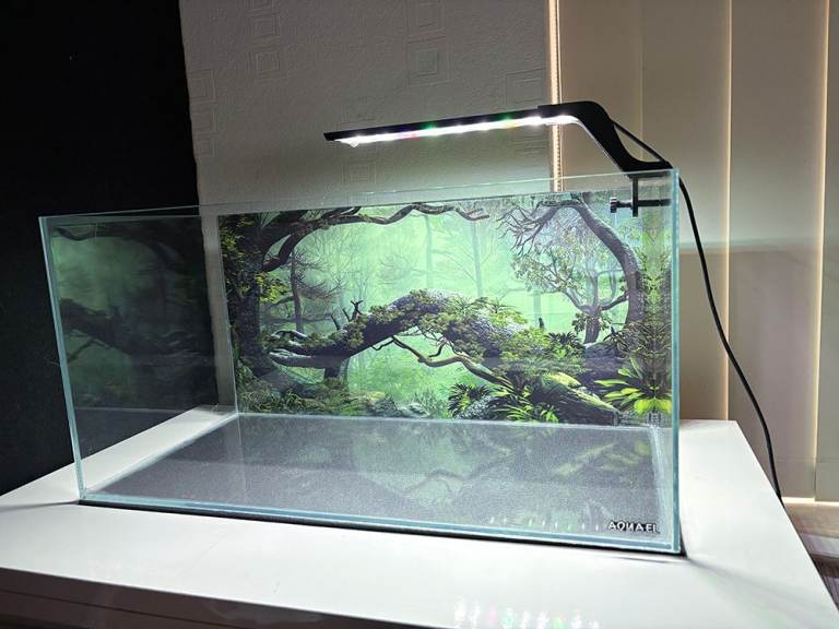 USED 54L AQUAEL RIMLESS 5MM OPTI GLASS AQUARIUM FISH TANK WITH MAT- NO ACCESSORIES