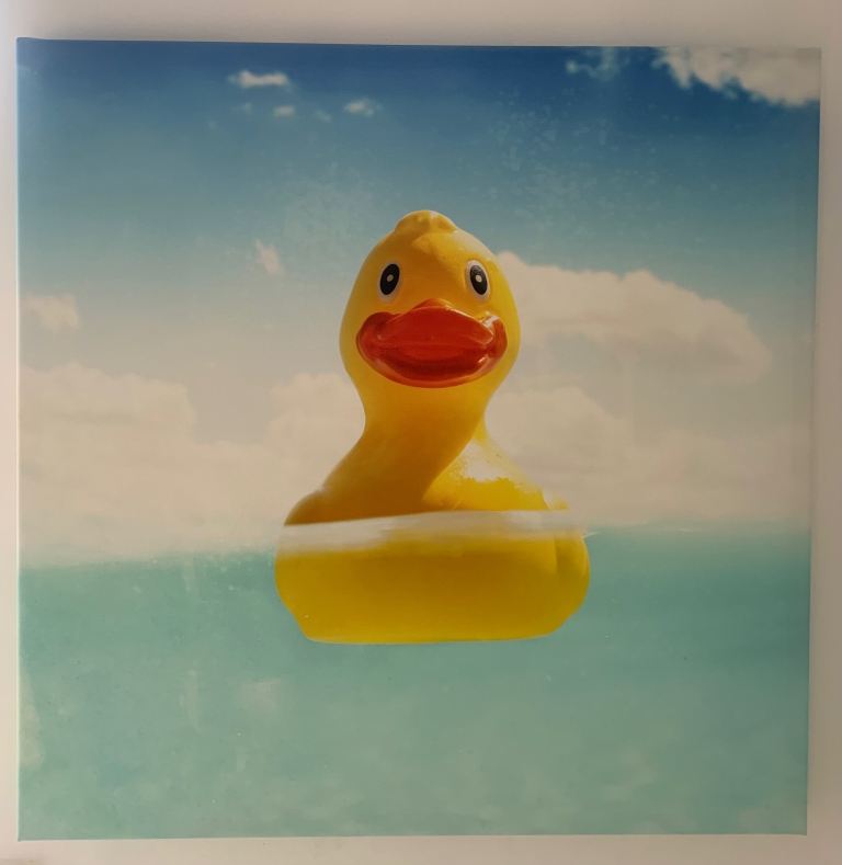 Rubber duck print- picture/canvas 60cm X 60cm