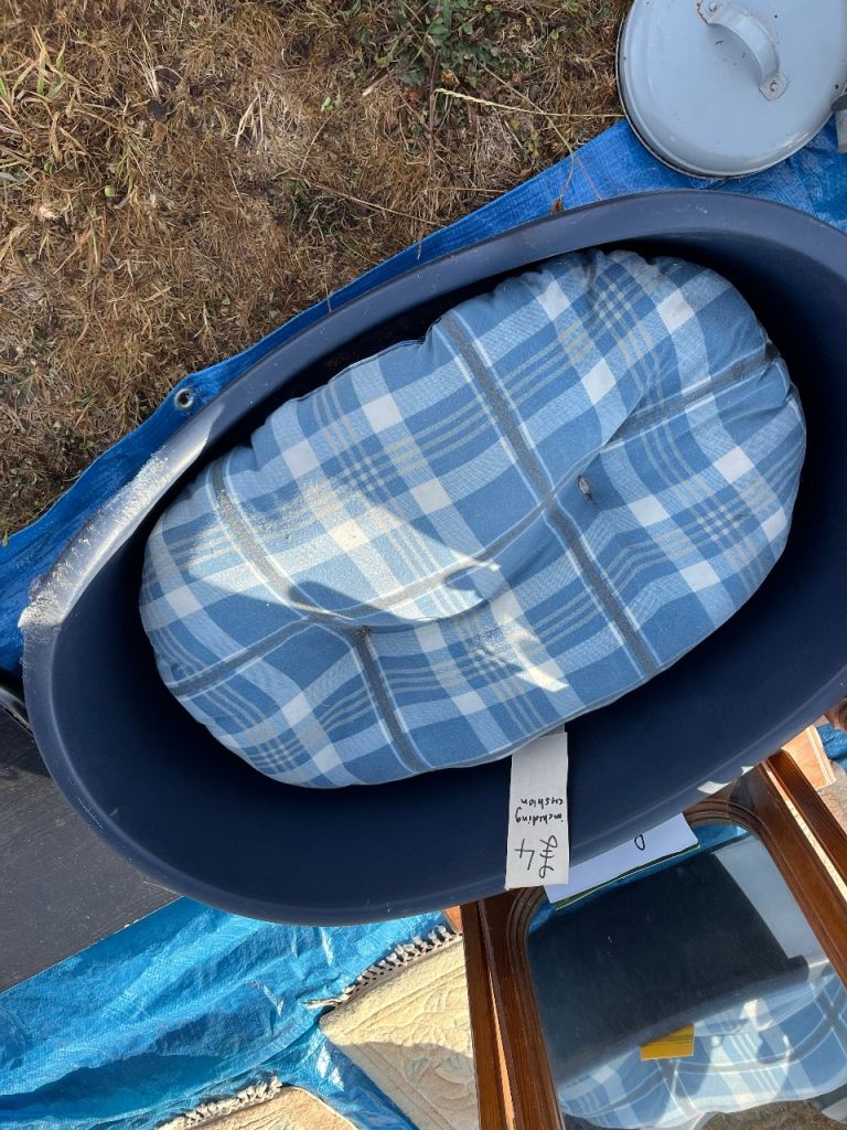 Plastic dog basket with comfy cushion