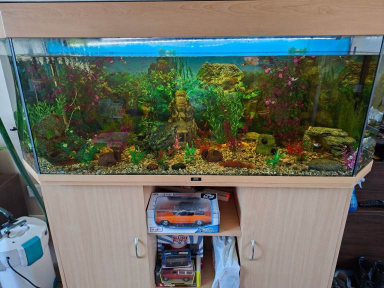 450litre fish tank and cabinet 