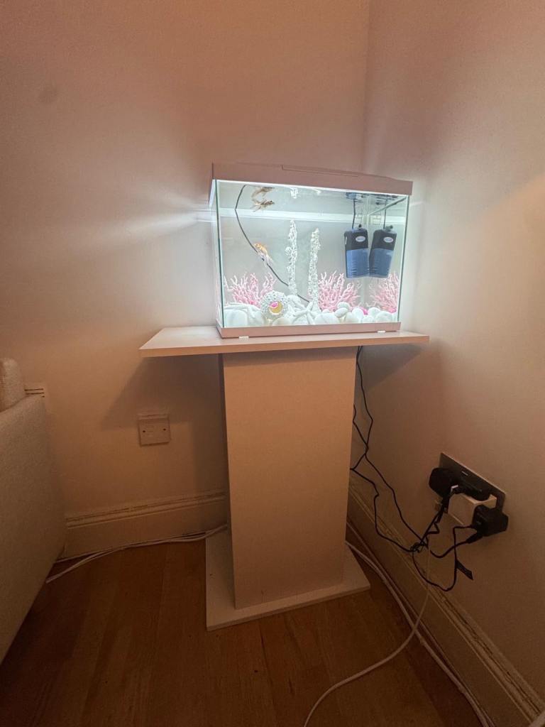 Fish tank with stand and biorb ornaments with water heater and new filter cartridge