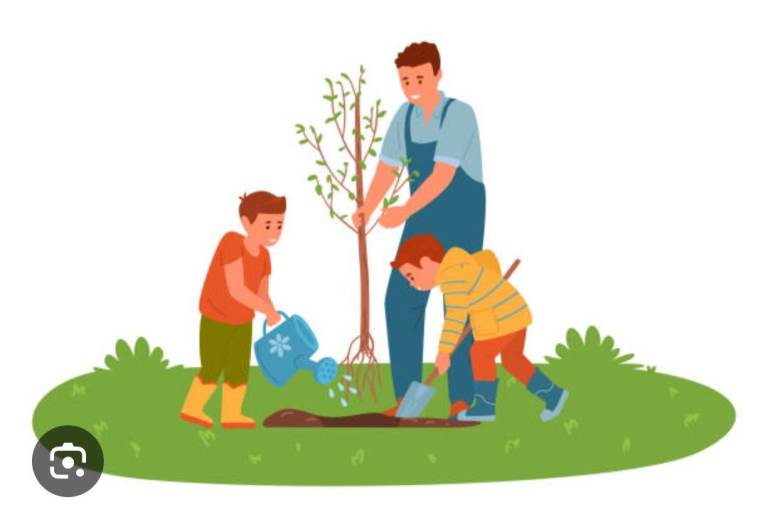 Odd jobs / gardening 