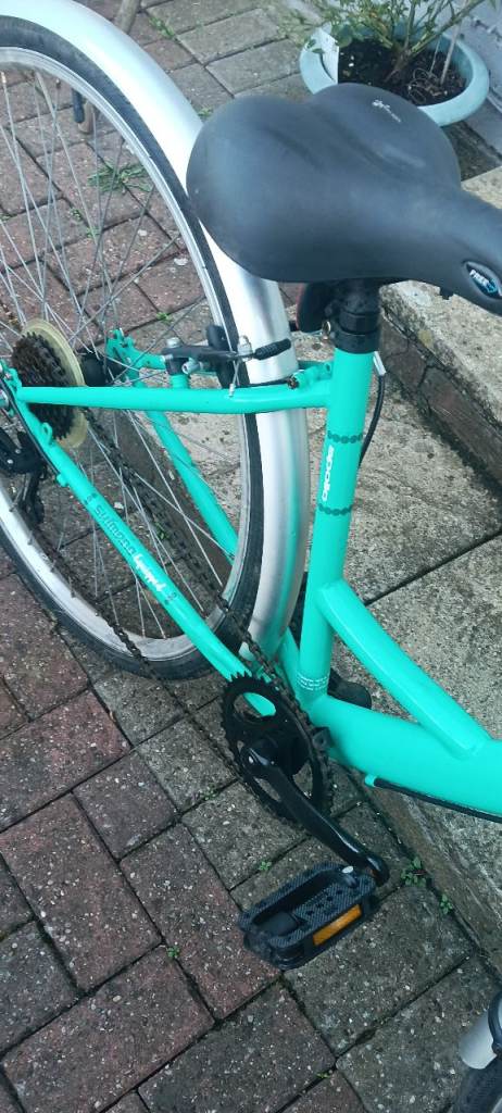 Woman bike cafe style  mint green