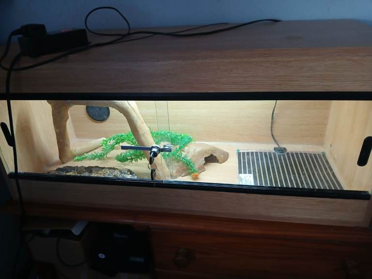Terrapod 3ft Vivarium and accessories