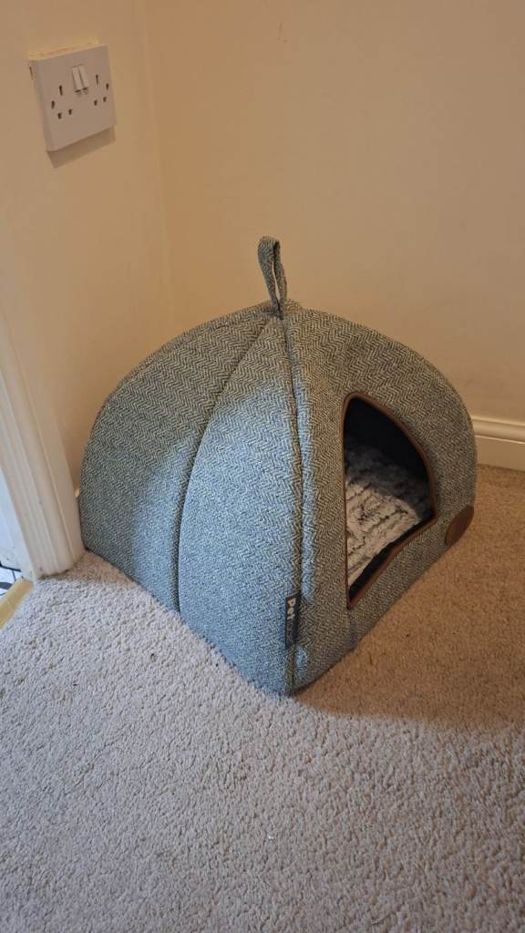 Cat House