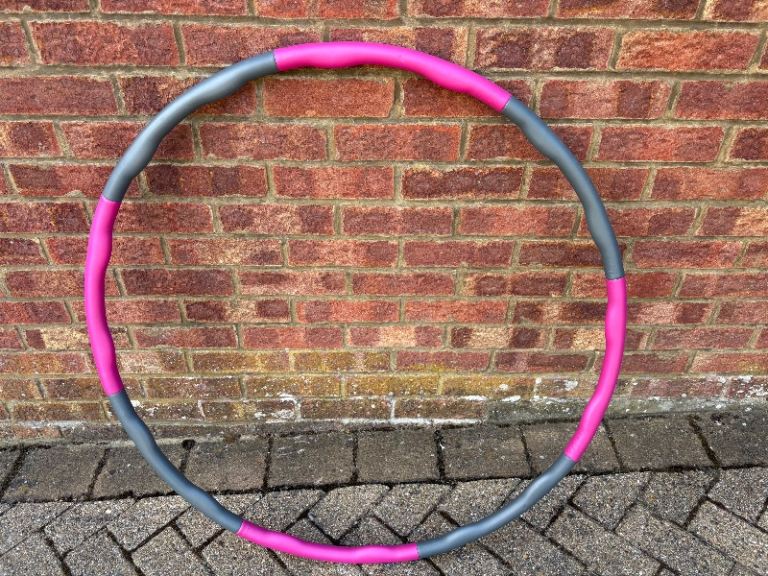 Fun dog training hoop