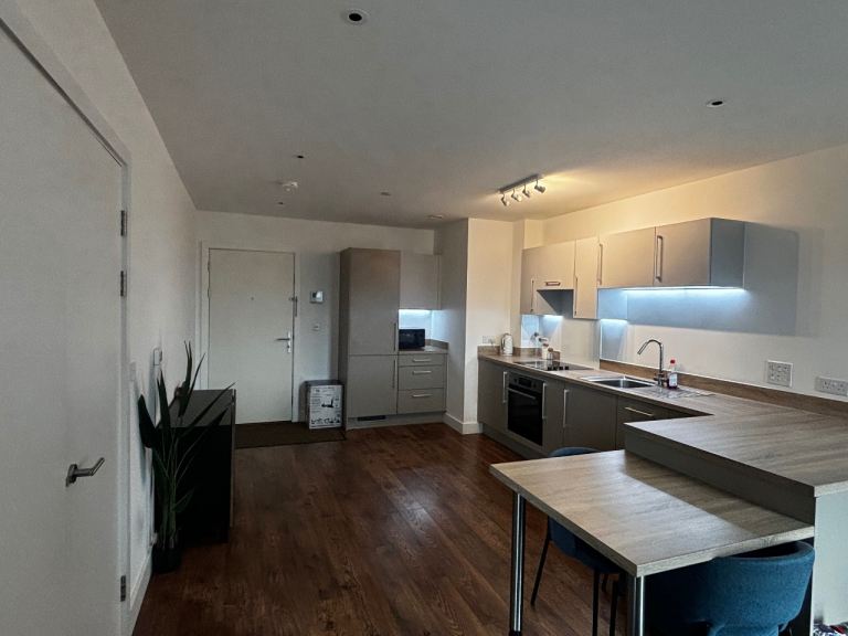 modern one-bedroom furnished apartment