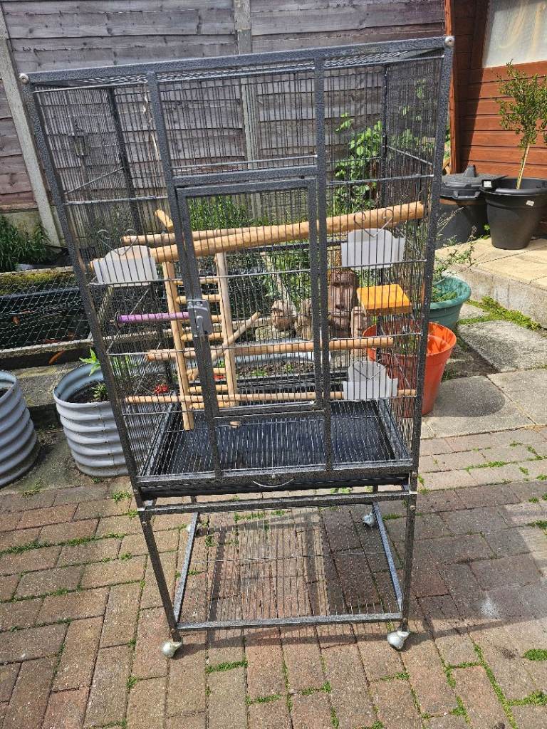 Bird cage 