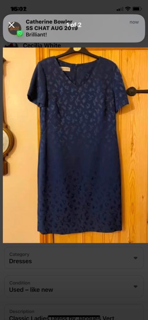 Classic Ladies Dress by Jacques Vert