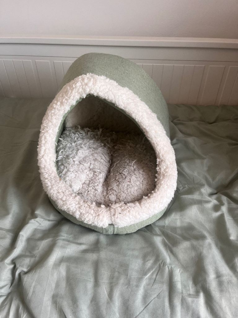 Cat bed 