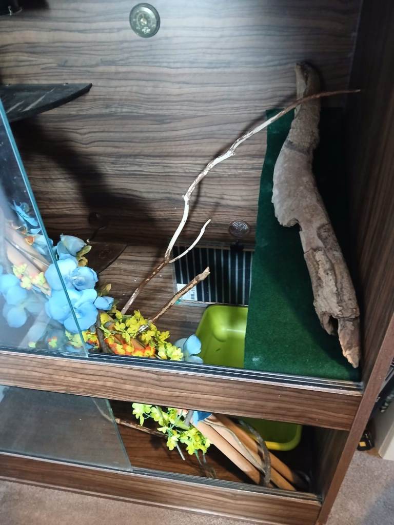 Reptile vivarium bundle 