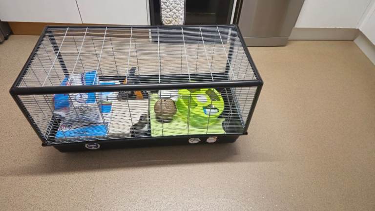 Savic plaza hamster cage
