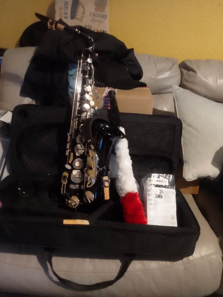 Alto saxophone 