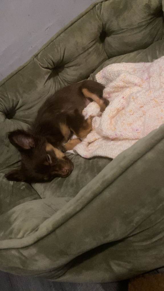 Coco