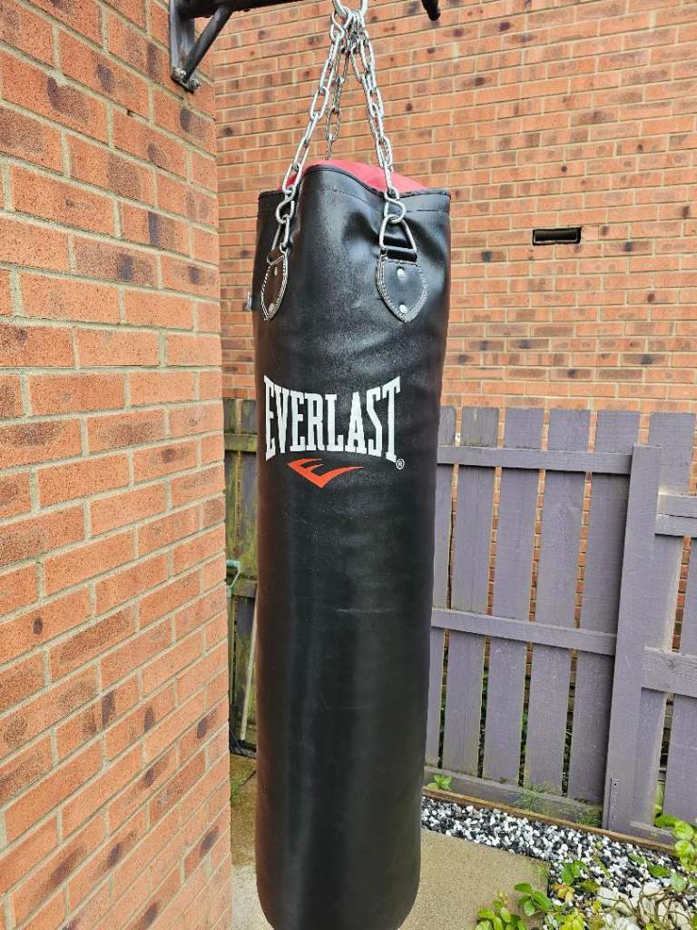 Everlast punchbag ,excellent condition