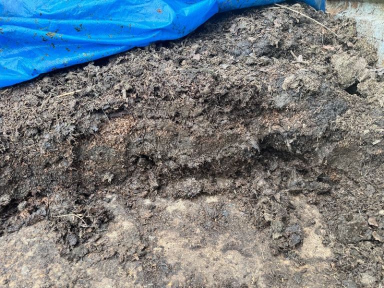 Well rotted horse manure - great for gardens! 