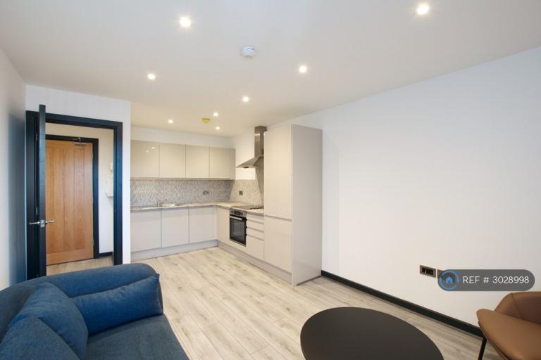 1 bedroom flat in Trinity Apartments, Leeds, LS13 (1 bed) (#3028998)