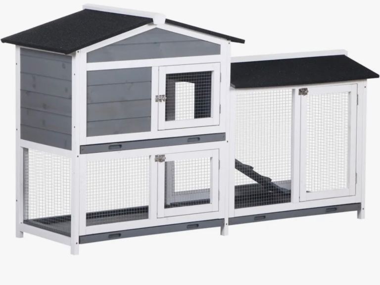 Guinea pig rabbit hutch 