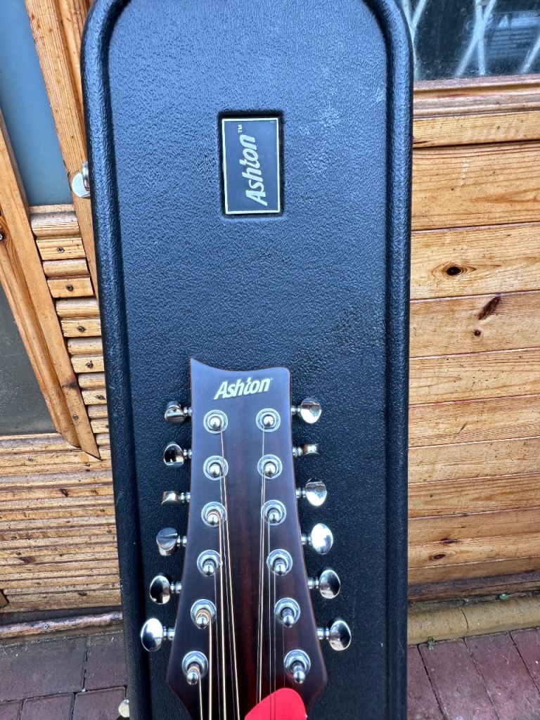 Ashton D25/12NTM 12-String Acoustic Guitar