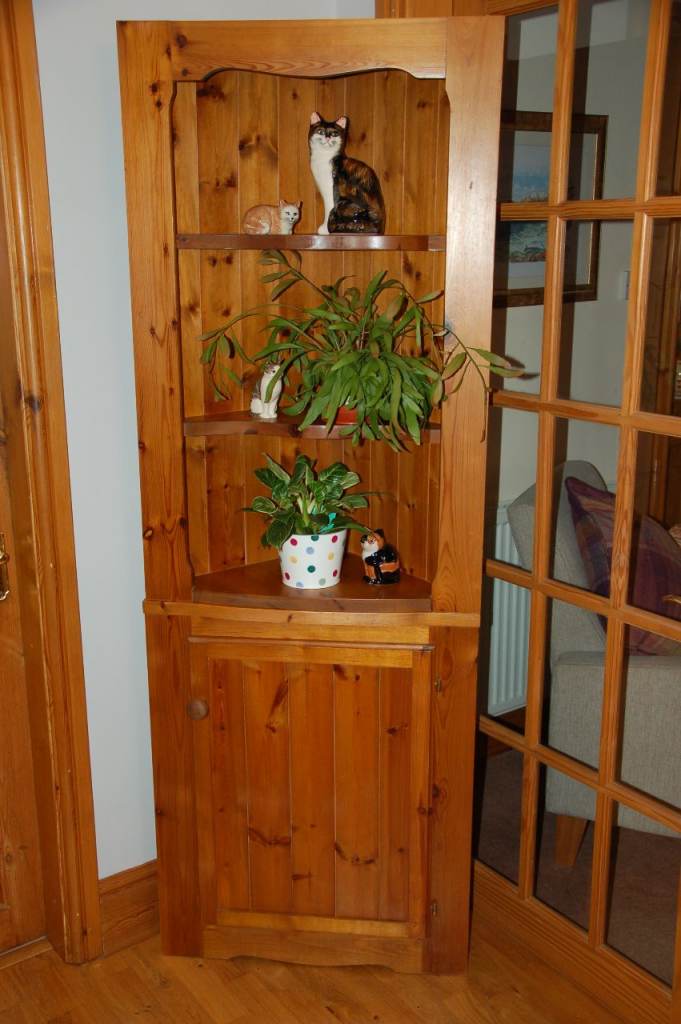 Pine Corner Cabinet with Cupboard 