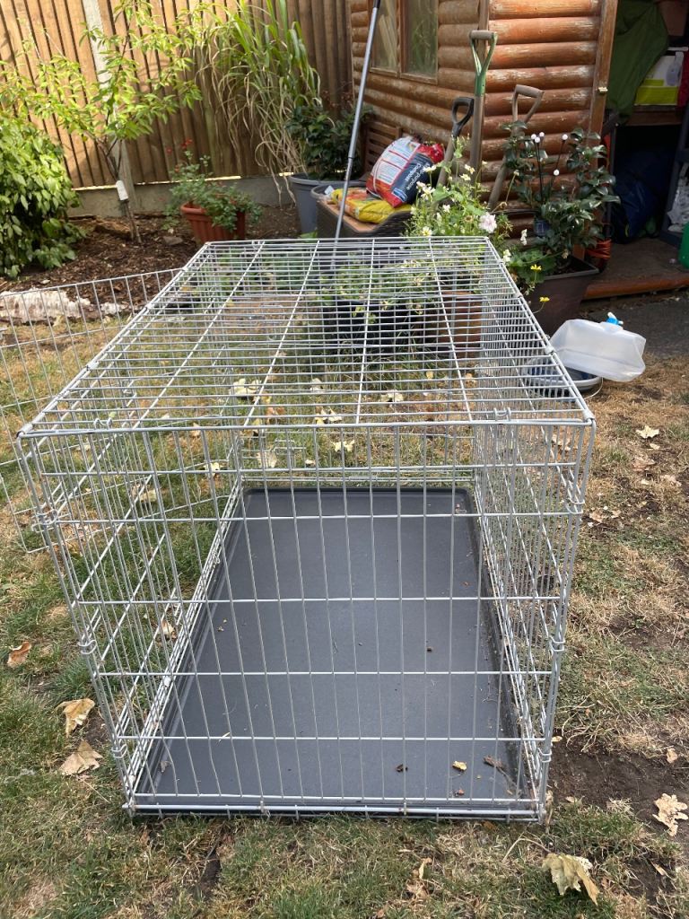 Dog crate - Large, 2 door foldable crate 