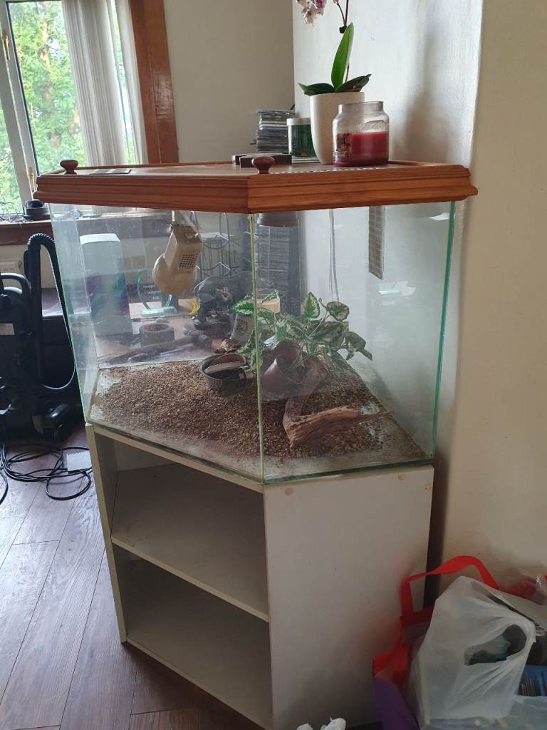 Large vivarium