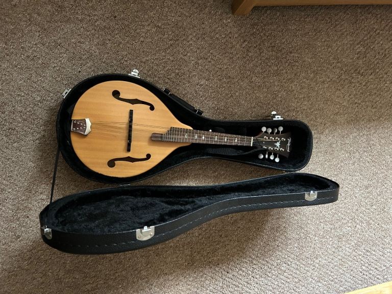 Tonewood mandolin with stagg carry case