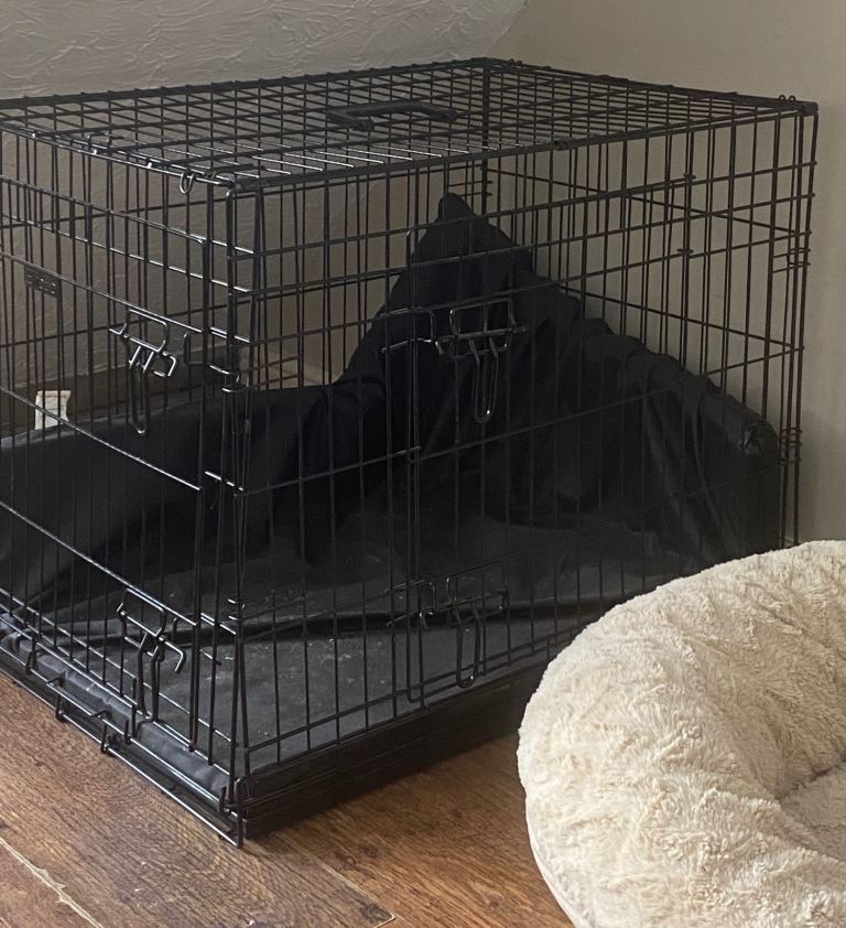 Dog crate 