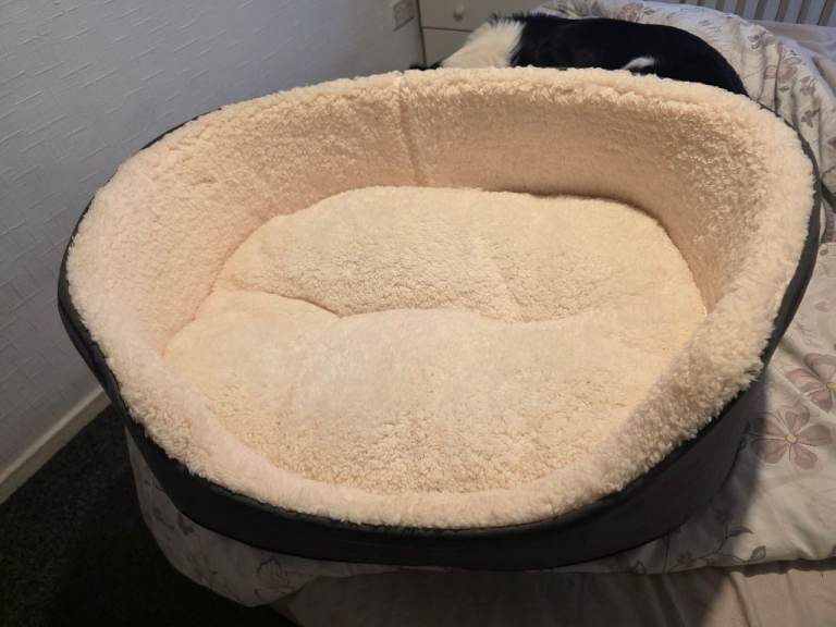 Medium dog bed.
