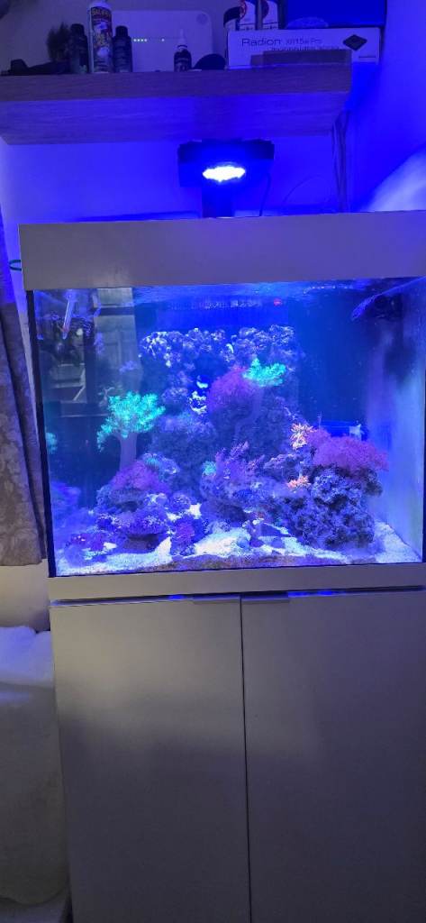 Radion XR15W Pro Gen 4 Marine Fish Tank Aquarium Light LED