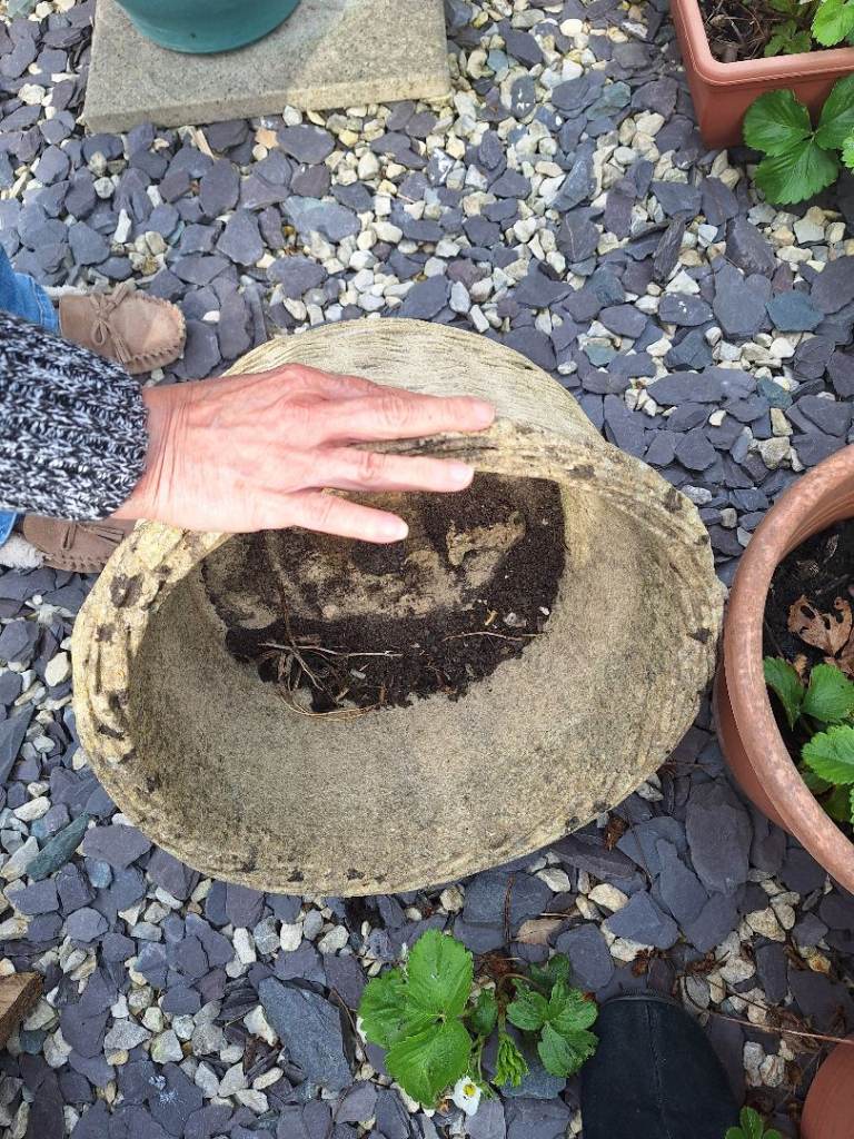 Concrete Planter 