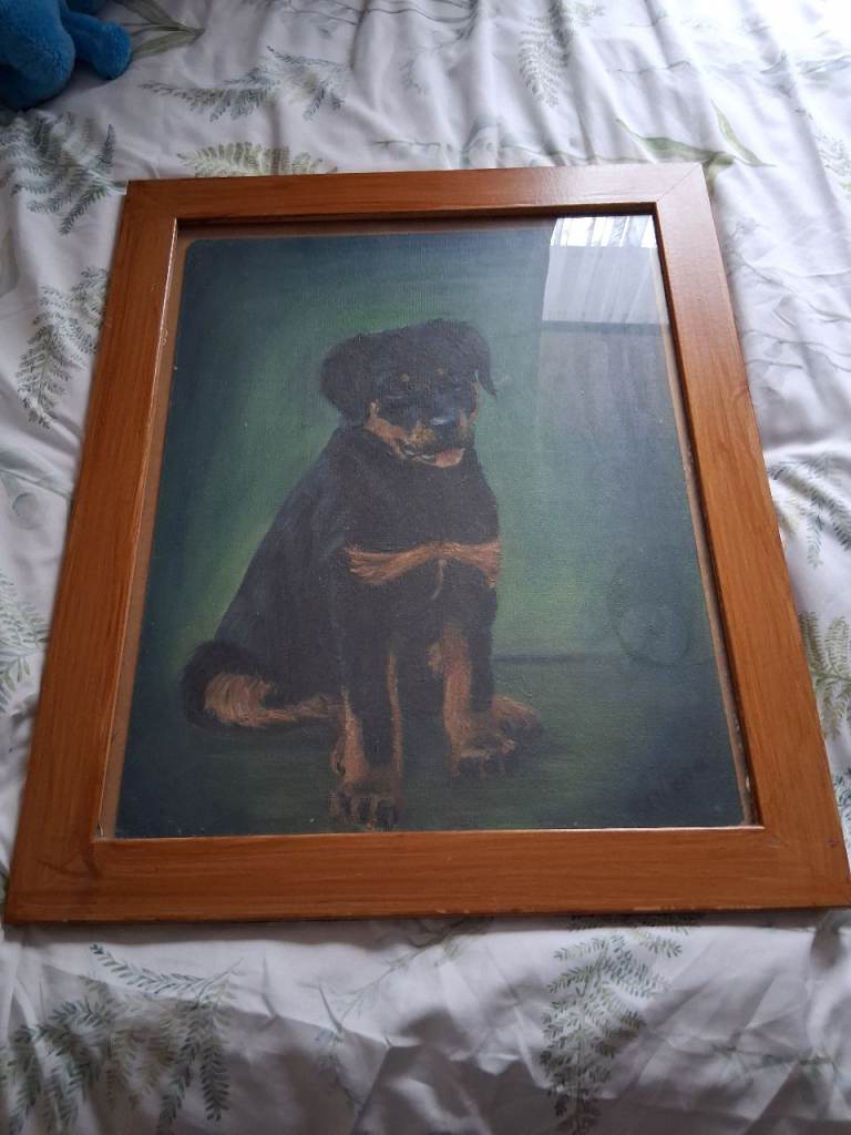 Rottweiler Puppy Oil Painting in Wooden Frame £25 OVNO please.