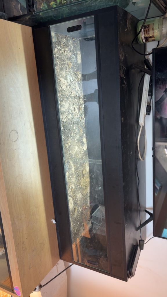 4ft Vivarium 