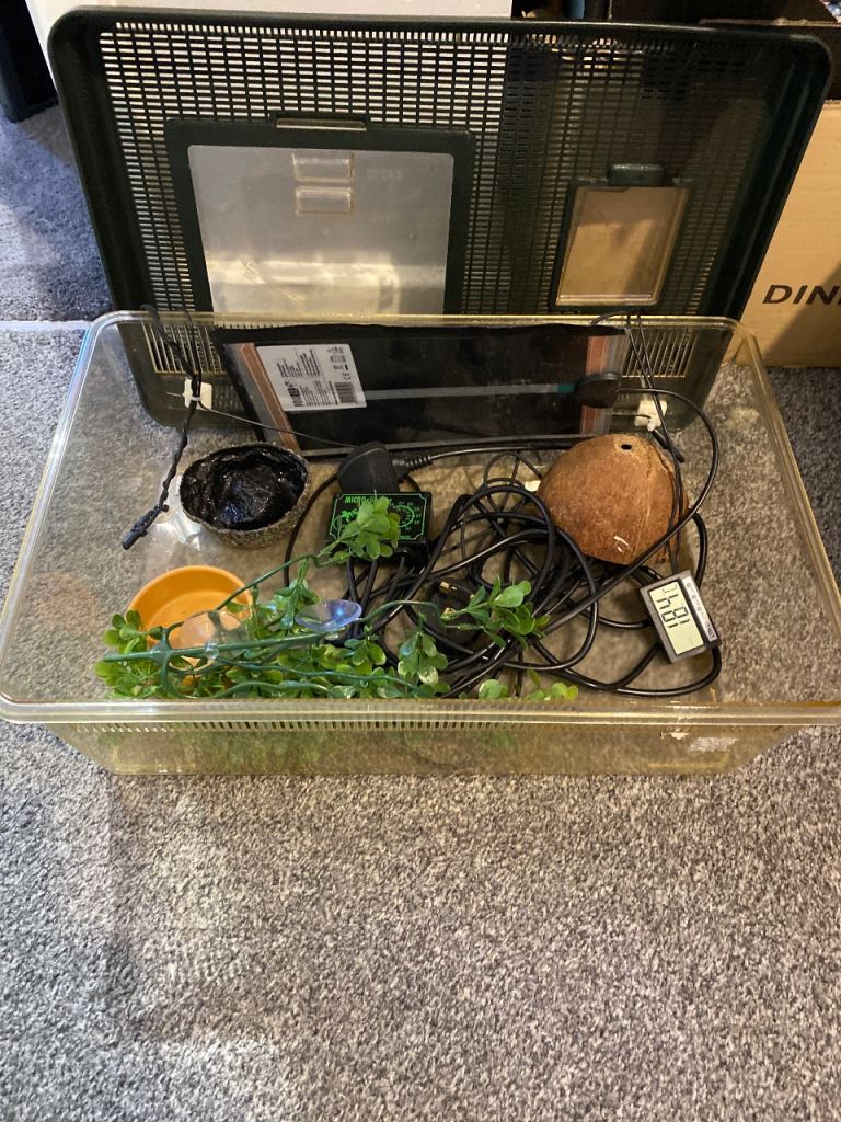 Vivarium - Complete starter set up... Just add snake.
