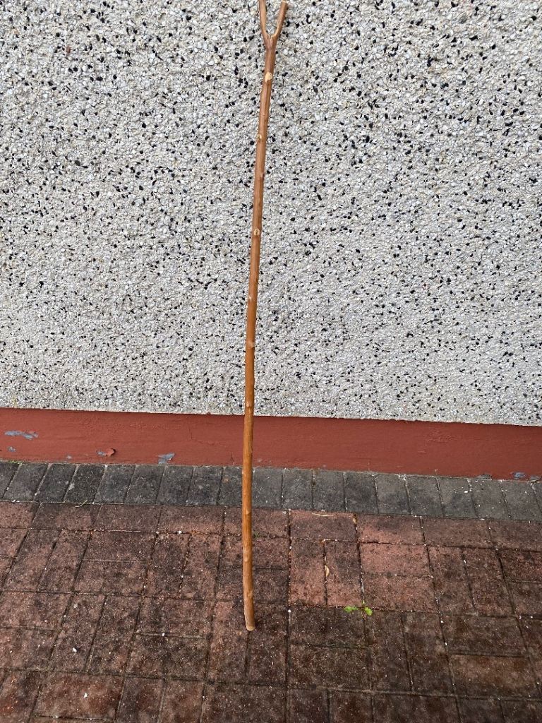 Walking stick