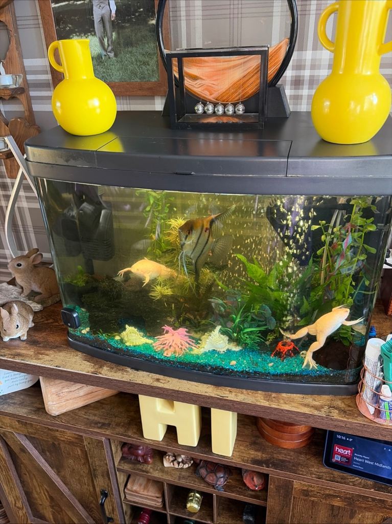 60ltr aquarium 