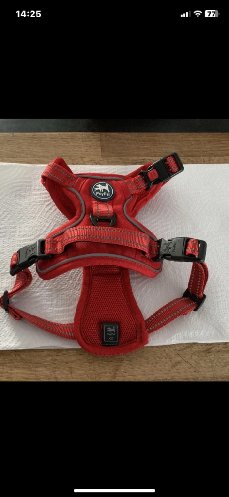 Puppy Harness