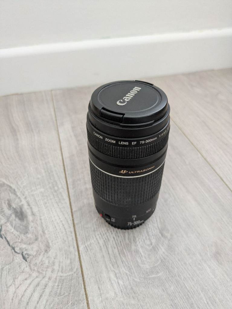 Canon EF 75-300mm Macro Lense 