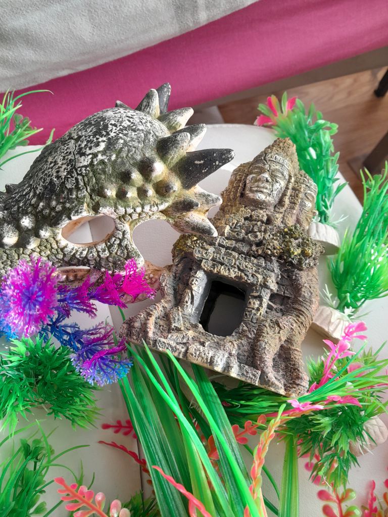 Fish tank decorations 