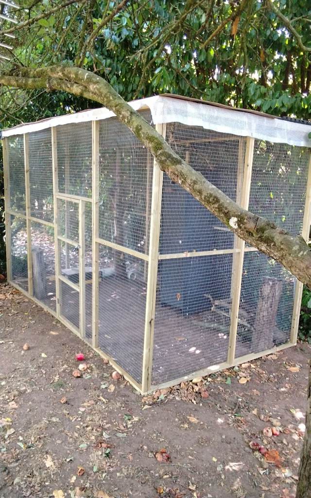Aviary/animal inclosure 