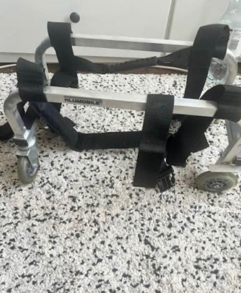 Alumobile massage trolley