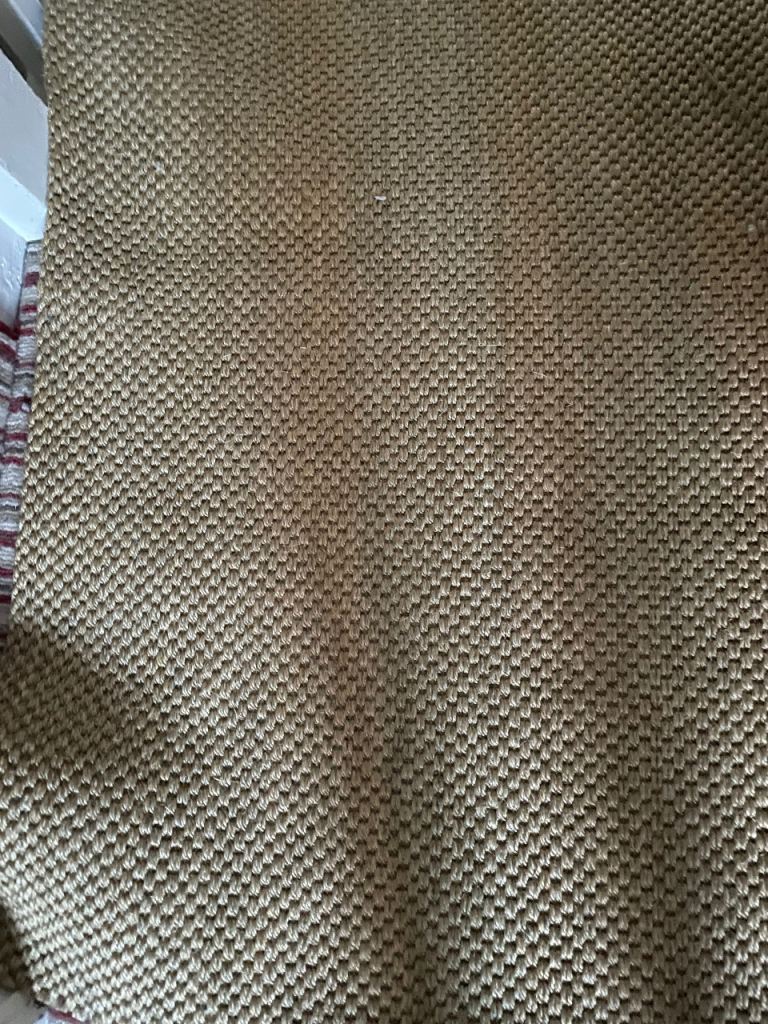 Sisal Style Carpet, brand new 