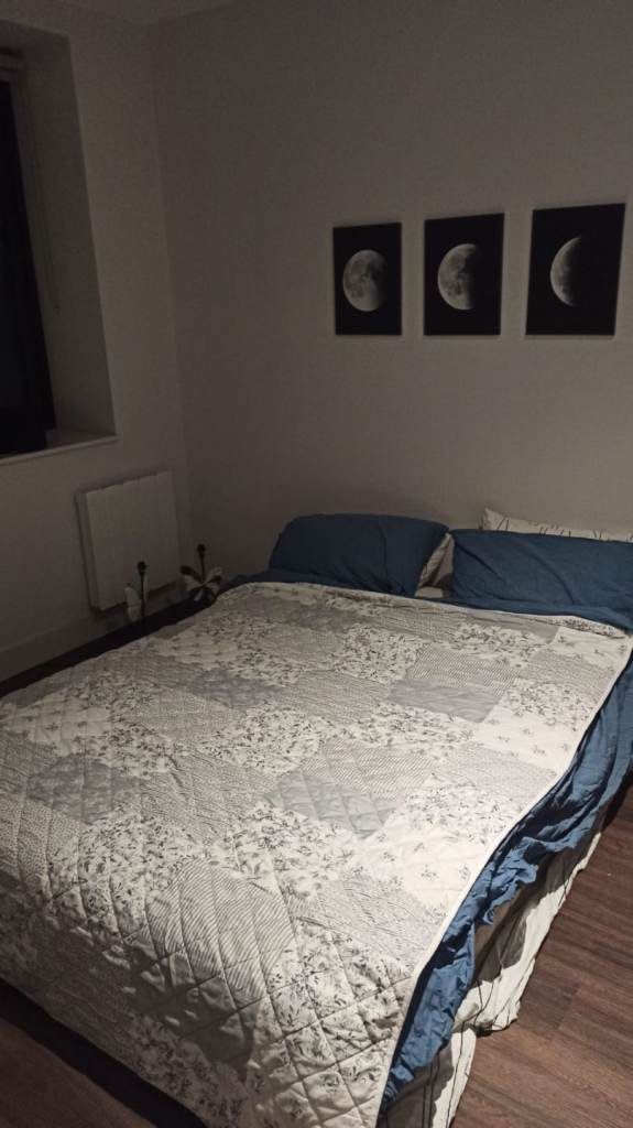 2 bed/sofa covers and throws and cushion cover