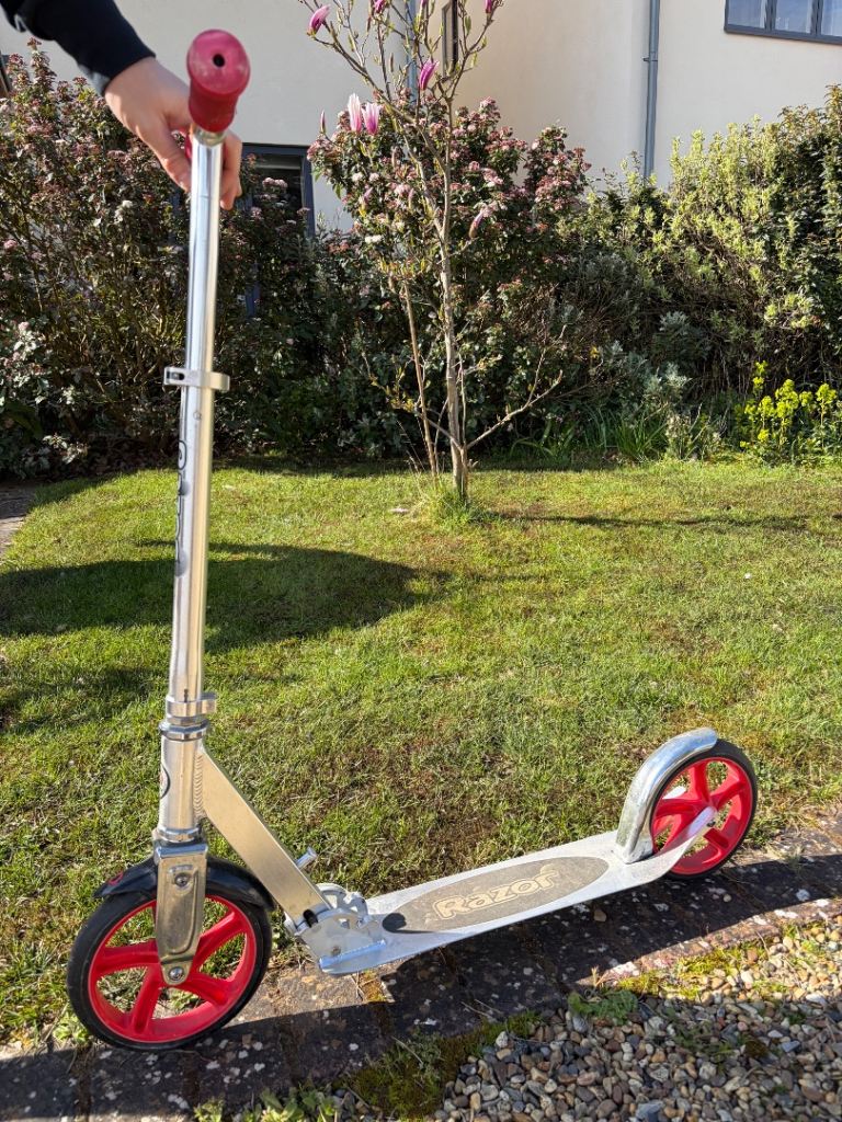 Adult Scooter, Razor 