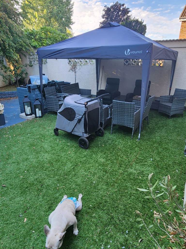 LARGE PET STROLLER & ACCESSORIES 