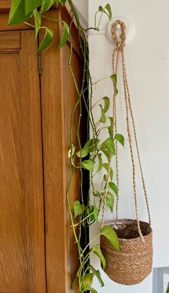 image for Wicker Hanging Plant Basket 